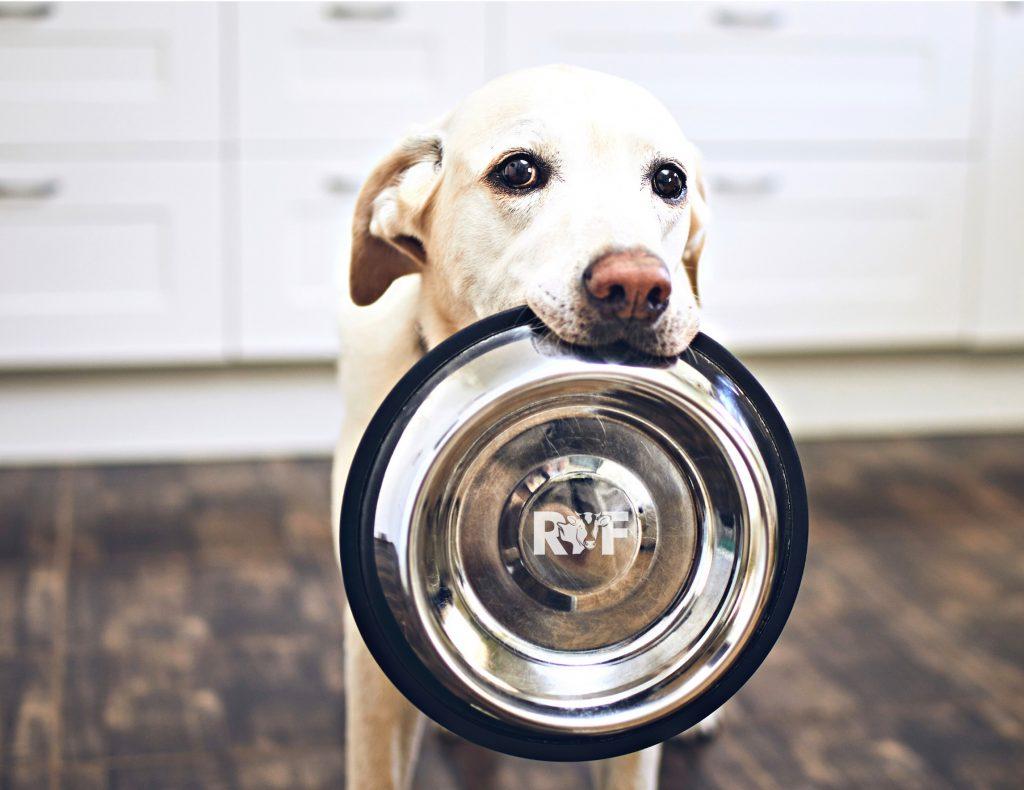 Regional Fleisch Itzehoe - Frisches Einzelfutter für Hunde
